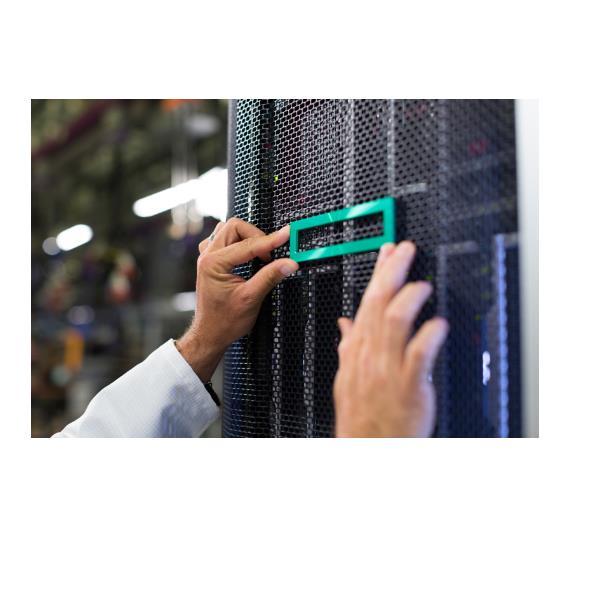 HEWLETT PACKARD ENTERPRISE HPE ML110 GEN11 NS204I-U ENABLE KIT