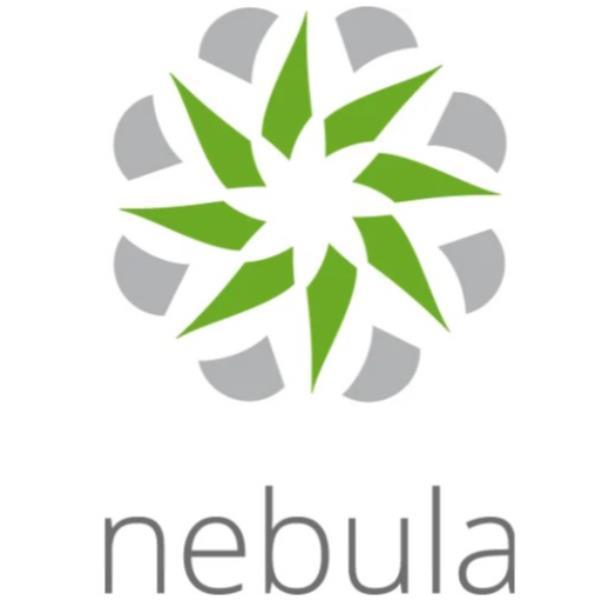 Zyxel Nebula Plus Pack - Licenza a termine (1 anno) - 1 dispositivo