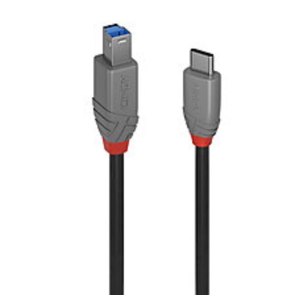LINDY 0.5M USB 3.2 TYP C AN B