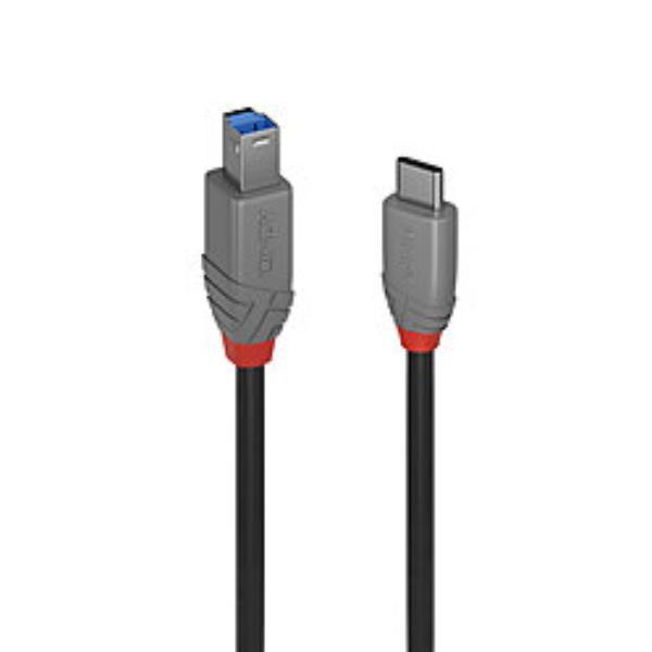 LINDY 1M USB 3.2 TYP C AN B