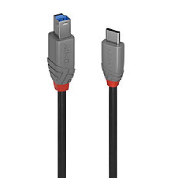 LINDY 2M USB 3.2 TYP C AN B