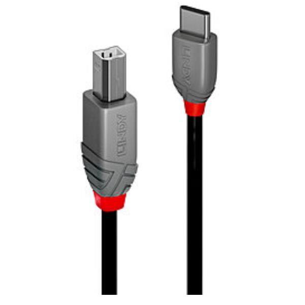 LINDY 2M CAVO USB 2.0 TIPO C A B, ANTHRA