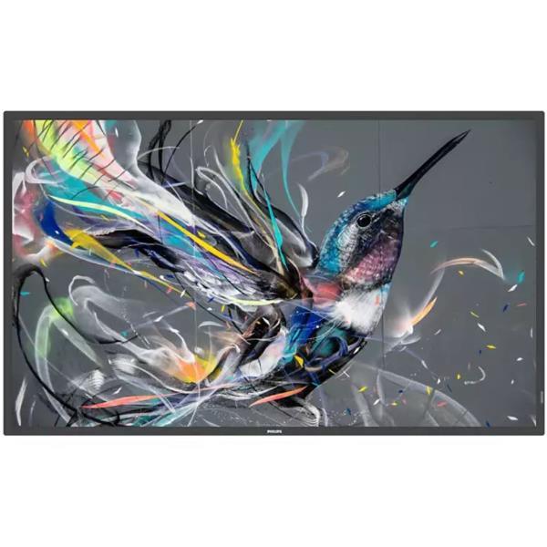 Philips 43BDL3511Q - 43" Categoria diagonale (42.5" visualizzabile) - Q-Line Display LCD retroilluminato a LED - segnaletica digitale - 4K UHD (2160p) 3840 x 2160