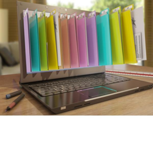 IRISMART FOR FILE 10