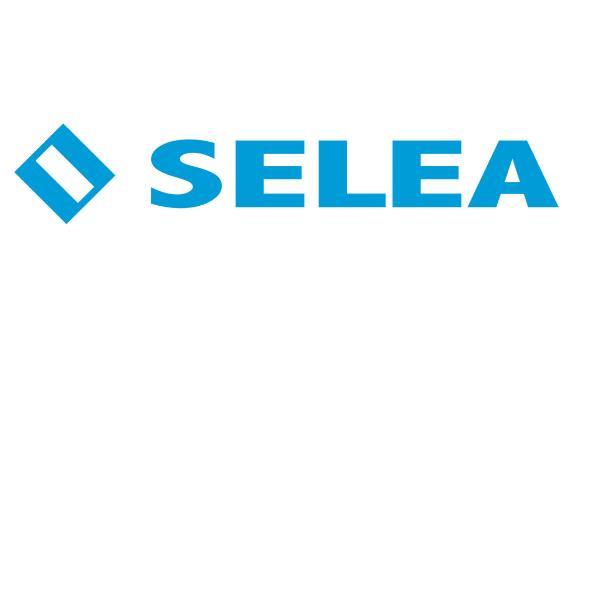 SELEA CORSO WEB