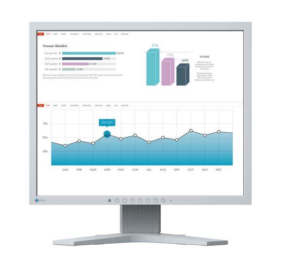 EIZO FlexScan S1934H - Monitor a LED - 19" - 1280 x 1024 - IPS - 250 cd/m² - 1000:1 - 14 ms - DVI-D, VGA, DisplayPort - altoparlanti - grigio