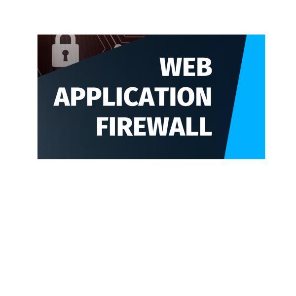 REEVO WEB APPLICATION FRW - 10MBS
