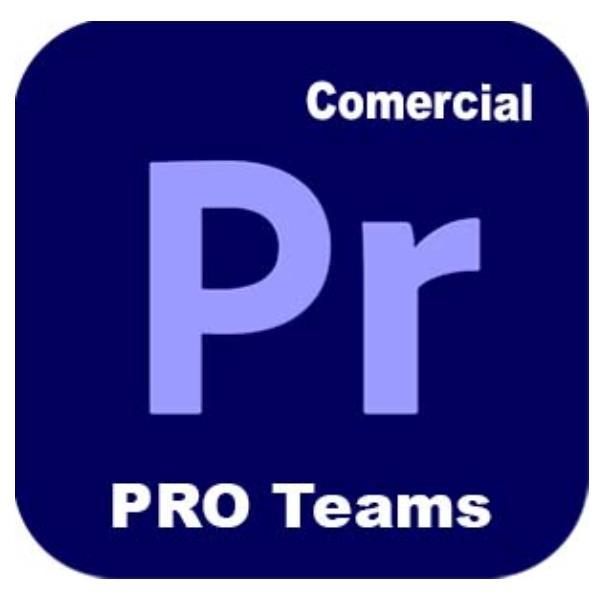 Adobe Premiere Pro for teams - Nuovo abbonamento (1 anno) - 1 utente nominale - accademico - Adobe Value Incentive Plan (VIP) Marketplace - Livello 1 (1-9) - Win, Mac - Multi European Languages