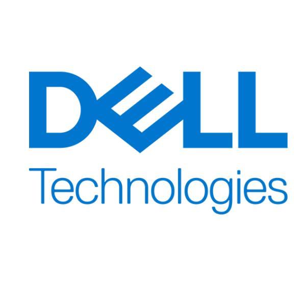 Dell - SSD - Read Intensive - 960 GB - hot swap - 2.5" - SATA 6Gb/s - per PowerEdge R340, R440, R640, R650, R6515, R6525, R740, R7425, R750, R7515, R7525, R840