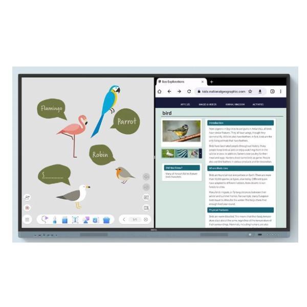 BenQ RM6504, 165,1 cm (65?), 1428,5 x 803,4 …