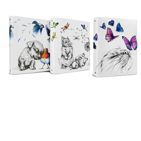 PLASTIBOR ICON FRIENDS RACCOGLITORE 4 ANELLI DA 25 mm IN PP 260X320X40 mm FANTASIE ASSORTITE CONF 12 Pz.