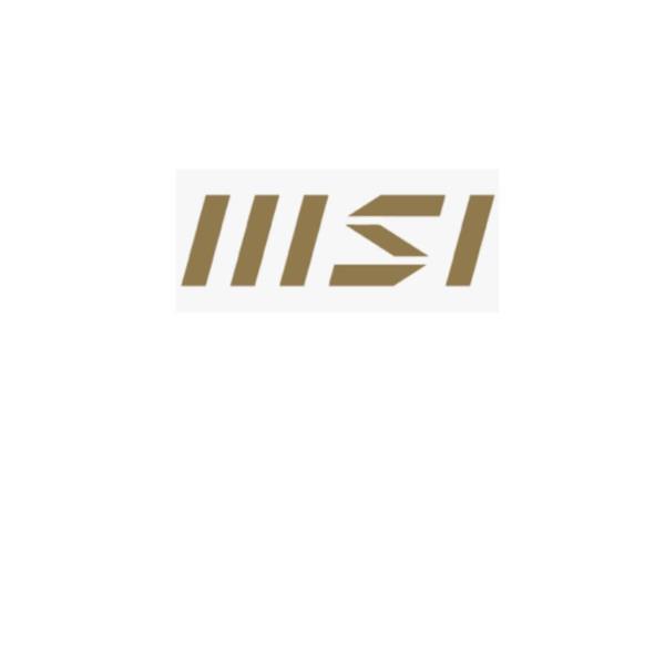 MSI 1YR WARRANTY DT PRO