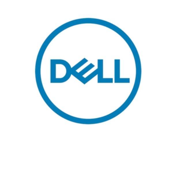 Dell - HDD - 1.2 TB - hot swap - 2.5" (in supporto da 3,5") - SAS 12Gb/s - 10000 rpm