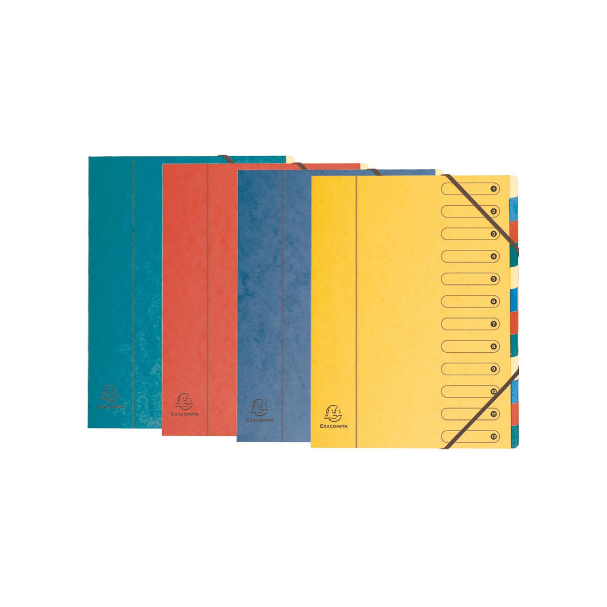 Classificatore numerico 1/12 Nature Future - 12 scomparti …