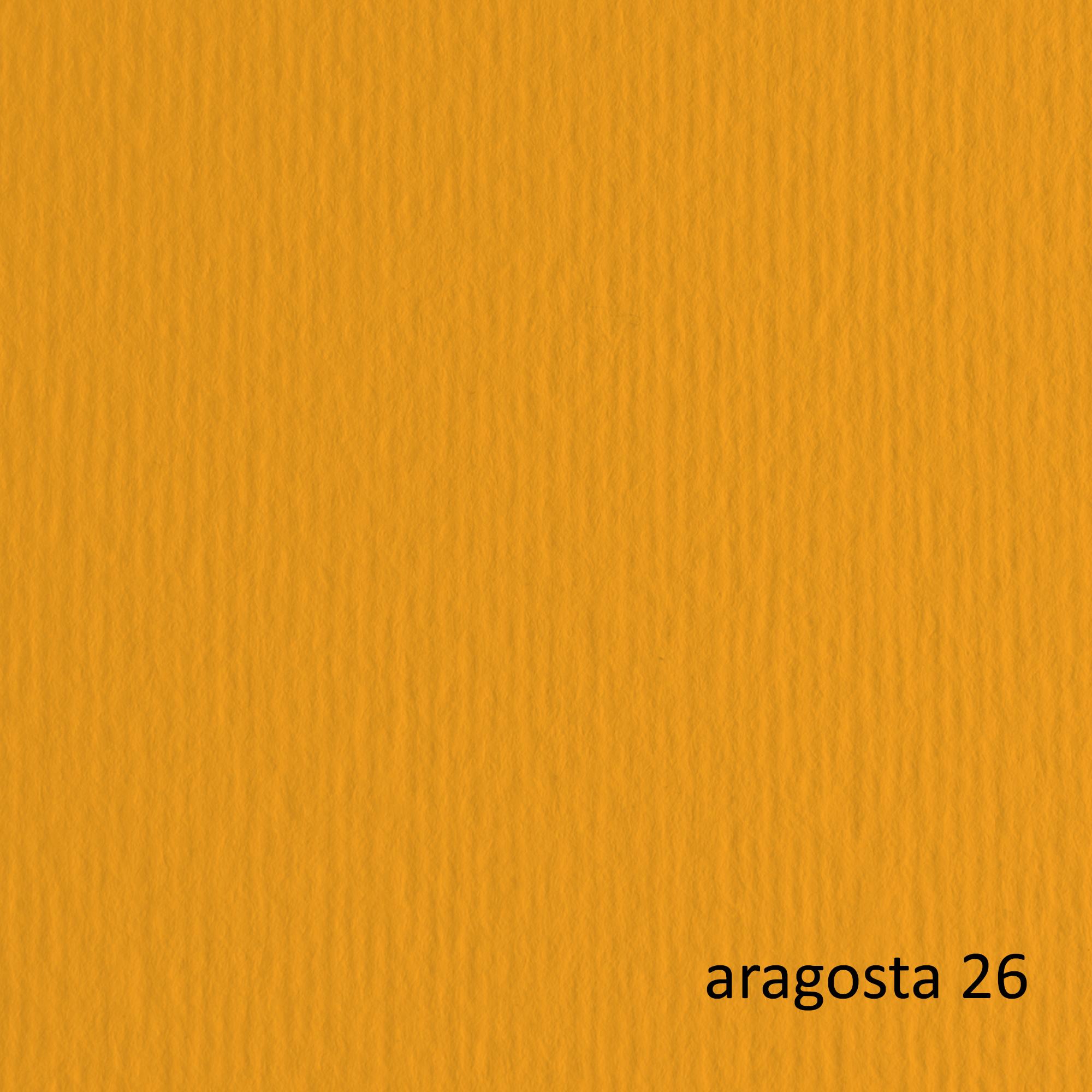 Cartoncino Elle Erre - 50x70cm - 220gr - aragosta 26 - Fabriano - blister 20 fogli