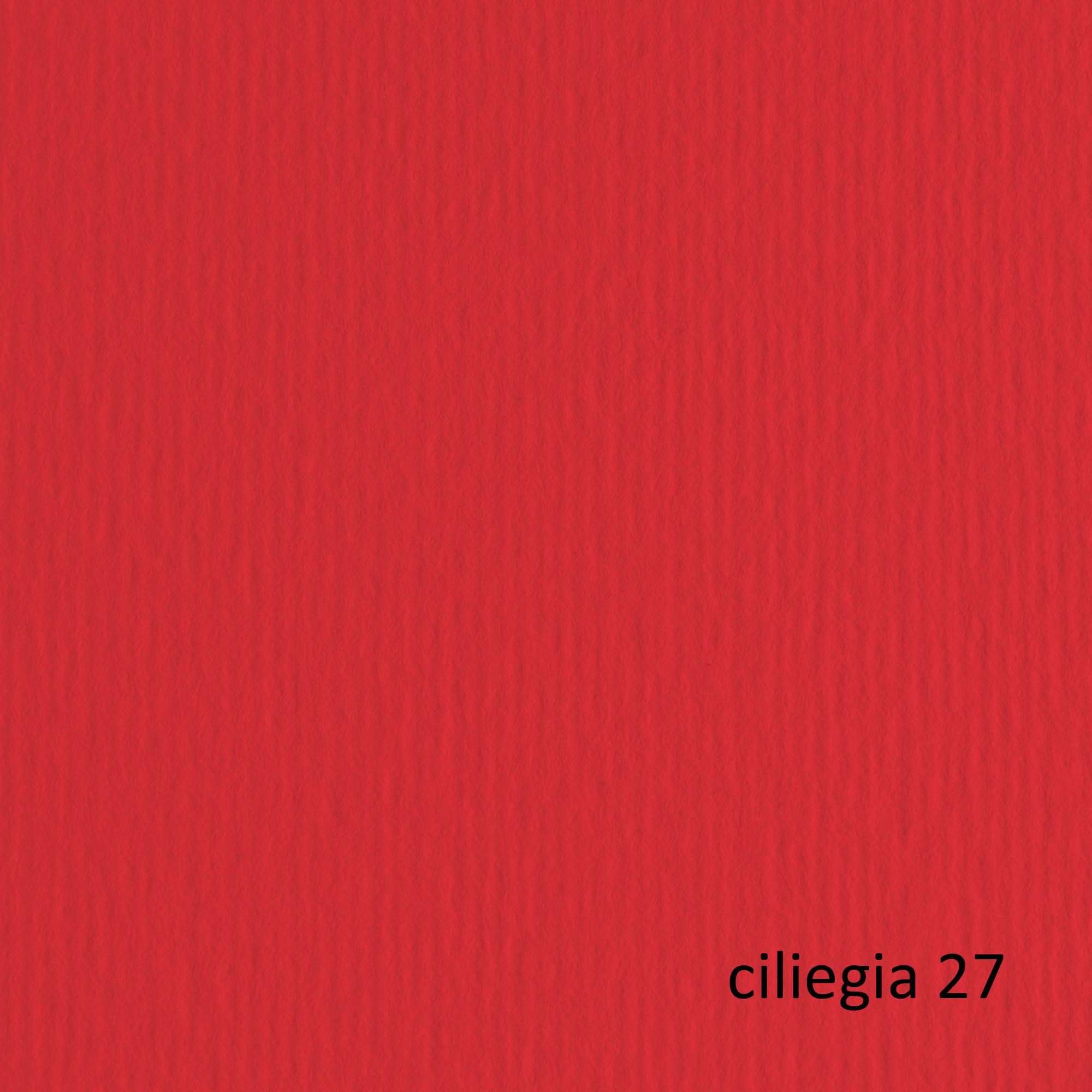 Cartoncino Elle Erre - 50x70cm - 220gr - ciliegia 27 - Fabriano - blister 20 fogli