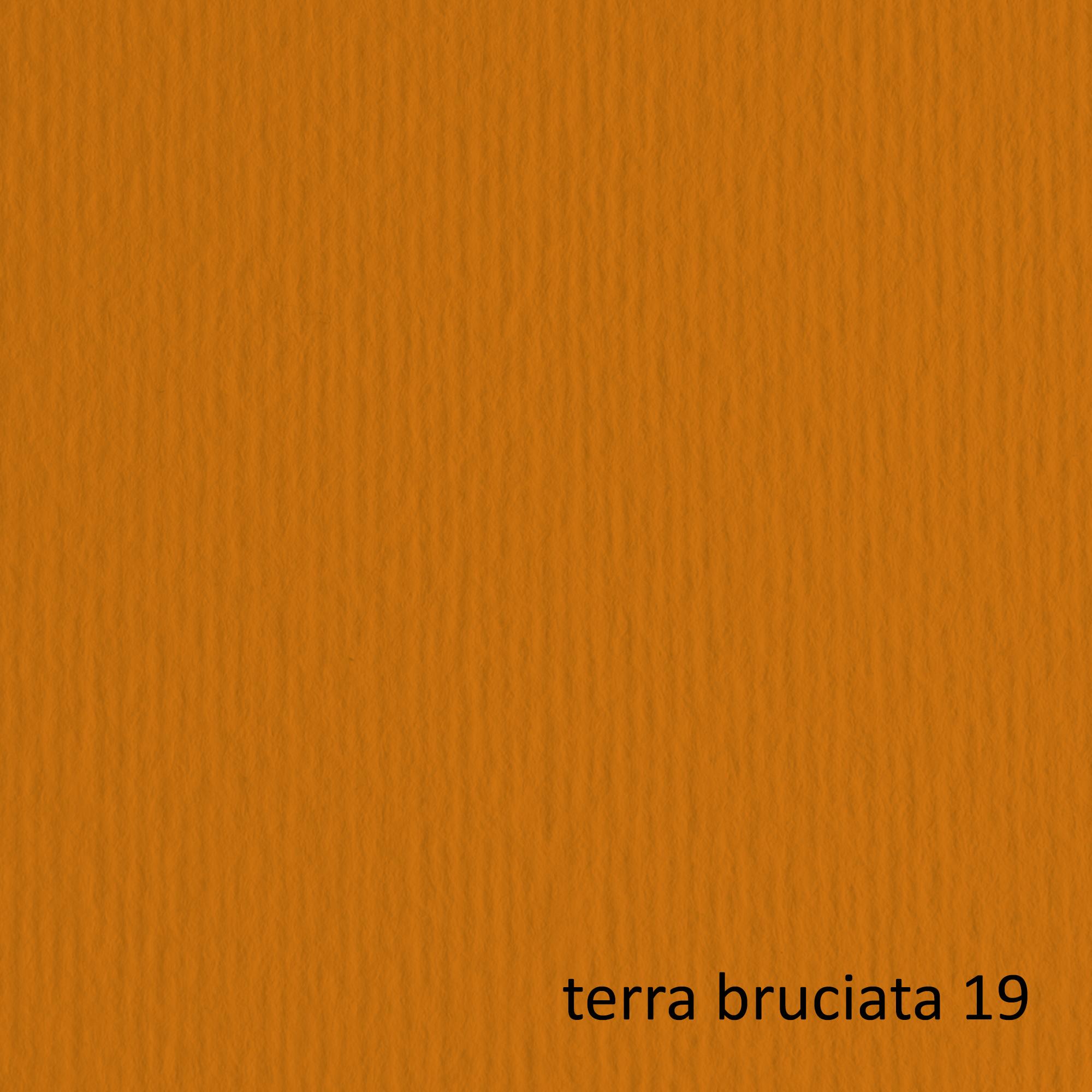 Cartoncino Elle Erre - 70x100cm - 220gr - terra bruciata 119 - Fabriano - blister 10 fogli