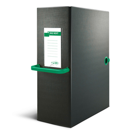Scatola archivio Big Next - dorso 20 cm - 25 x 35 cm - nero/verde - Sei Rota