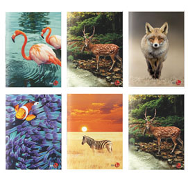 BE MORE ANIMAL QUADERNO PUNTO METALLICO 80GR 210X297 …