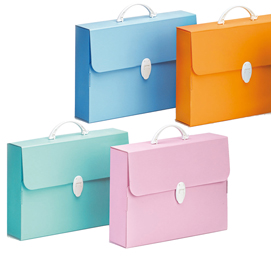 Valigetta Polionda Every Line Pastel - 36,5x56,5 cm - dorso 5,5 cm - Favorit
