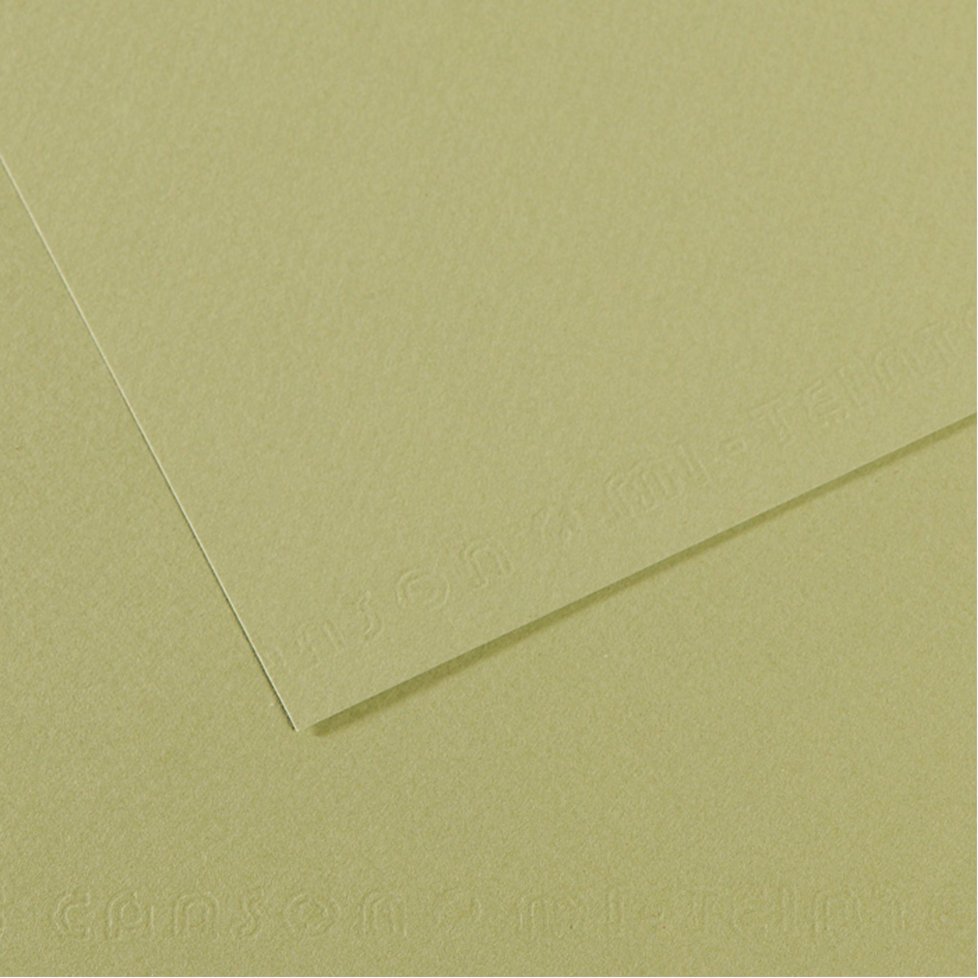 Foglio Mi-Teintes - A4 - 160 gr - verde mandorla - Canson
