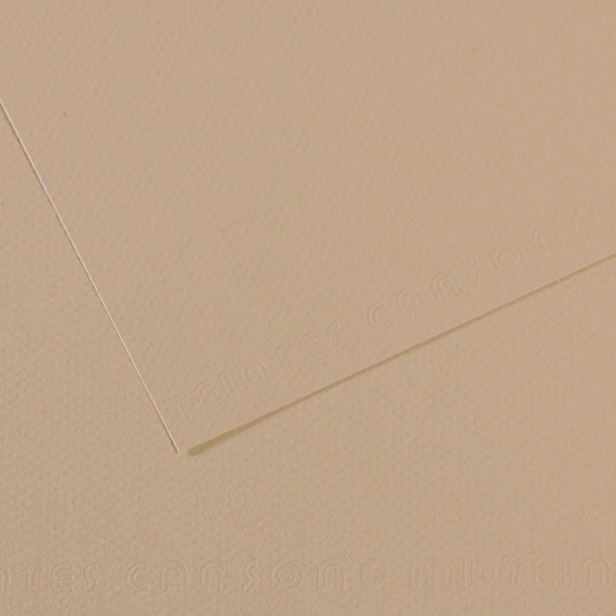 Foglio Mi-Teintes - A4 - 160 gr - grigio trianon - Canson