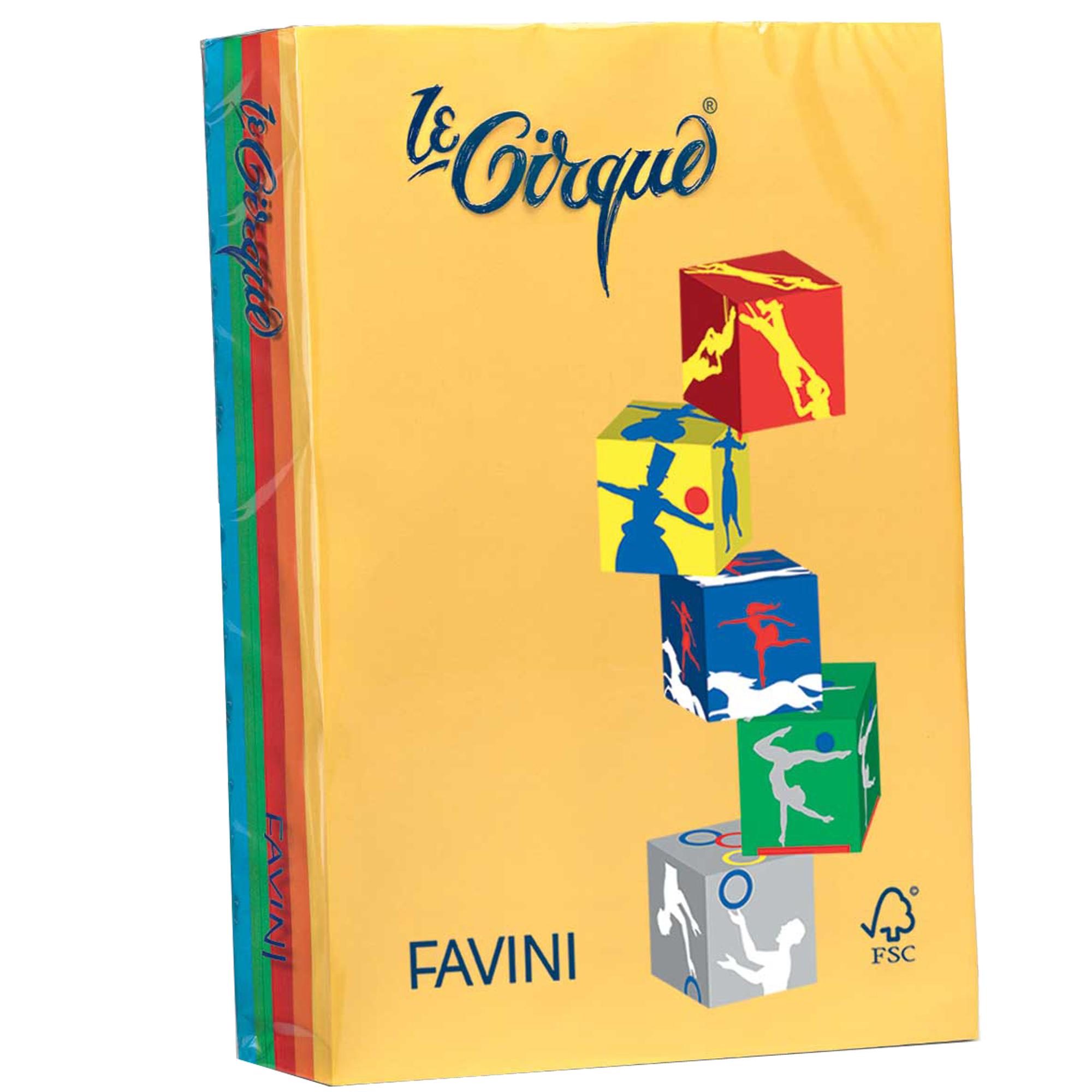RISMA LE CIRQUE 80G MIX FORTI A4