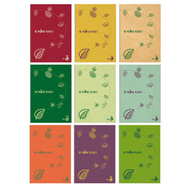 Maxiquaderno Be More Planet - A4 - 1 rigo - c/margine - 38 fogli - 80gr - BM